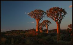 sunset at kockerboom's