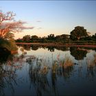 Sunset at Krueger Nationalpark