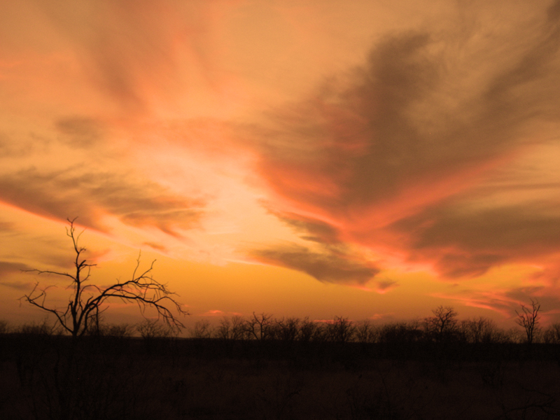 Sunset at Kruger Nationa Park