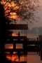 SUNSET AT KUMARAKOM de Paola Vignali 