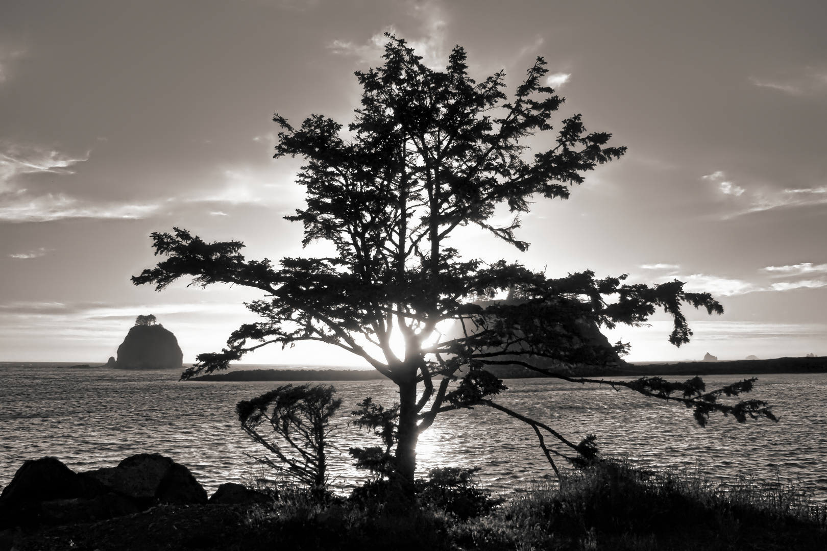 sunset at La Push  - Sonnenuntergang vor La Push