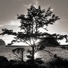 sunset at La Push  - Sonnenuntergang vor La Push