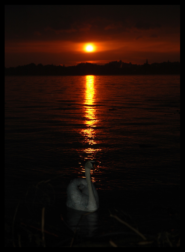 Sunset at Lake Constance...