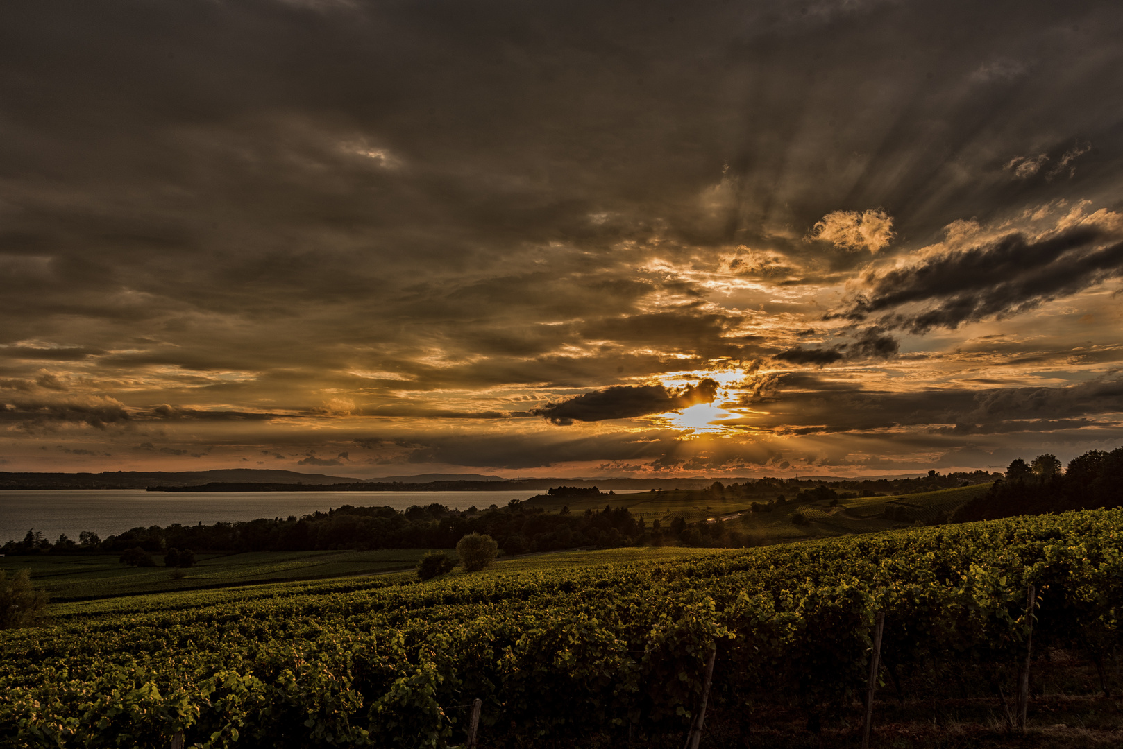 Sunset at Lake Constance