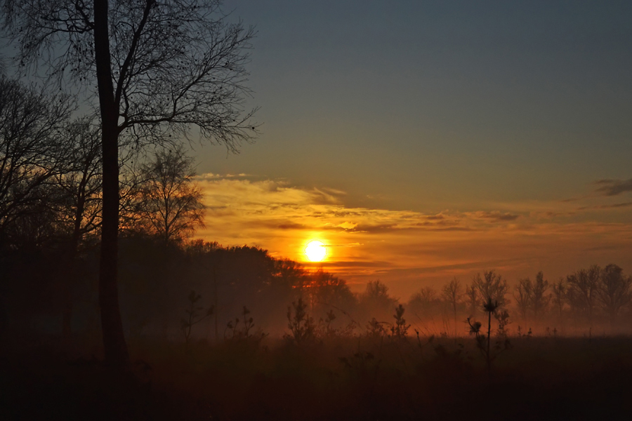 Sunset at Leersumse veld 05