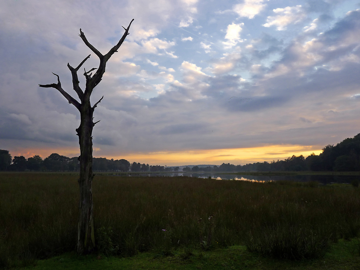 sunset at Leersumseveld 01