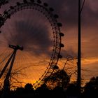 sunset at ... London eye