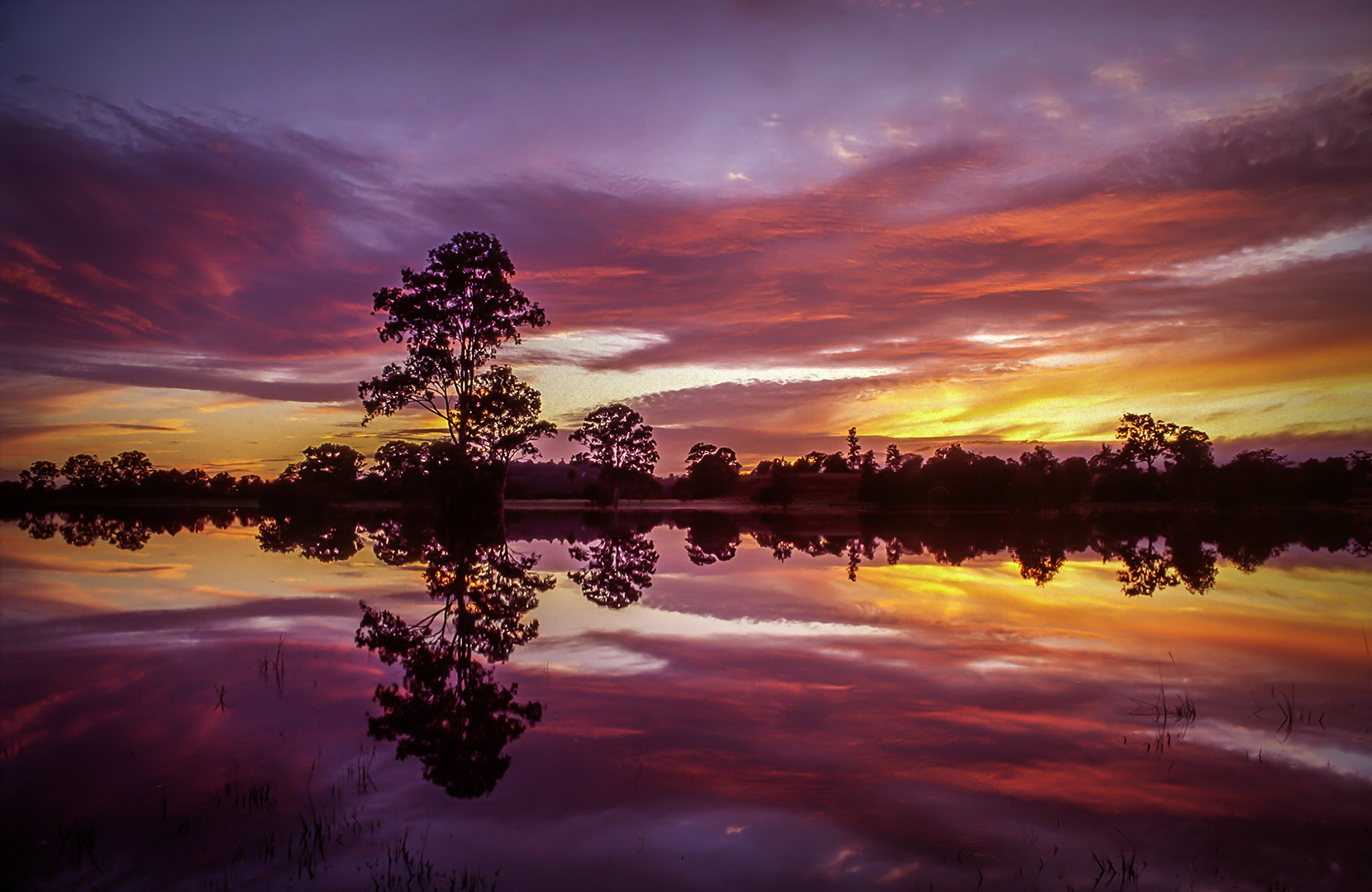 Sunset at Mudgeeraba Floodplains