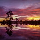 Sunset at Mudgeeraba Floodplains