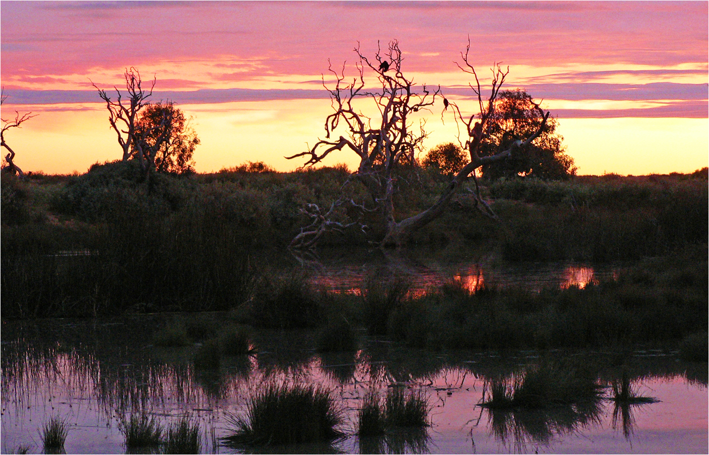 ** Sunset at Mungeranie Roadhouse / Birdsville Track **