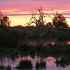 ** Sunset at Mungeranie Roadhouse / Birdsville Track **