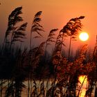 sunset at Nulde beach