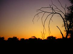 Sunset at Outback