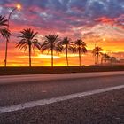               sunset at paseo maritimo palma de mallorca