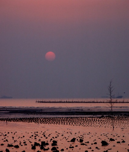 Sunset at Pat Lai, HK