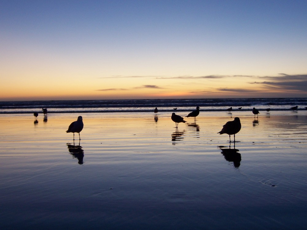 Sunset at Pismo Beach