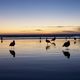 Sunset at Pismo Beach