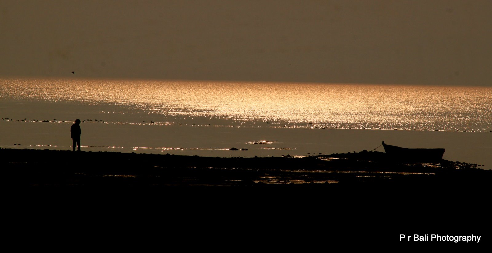 Sunset at Pongam lake H.P india