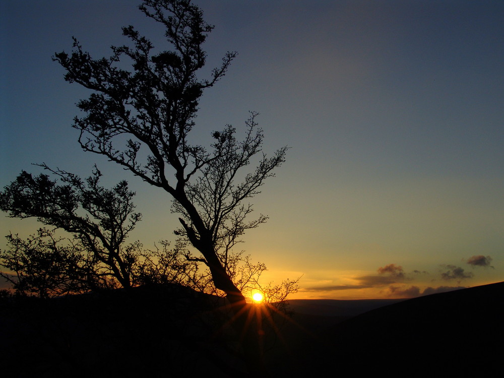 Sunset at Sally's Gap