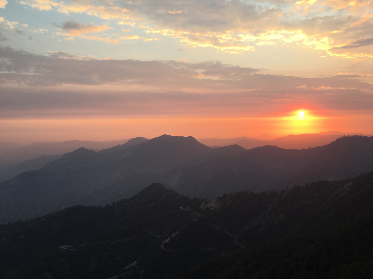 sunset at Sequoia park