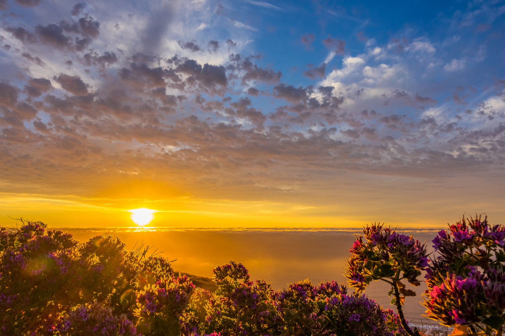 Sunset at Signal Hill, Capetown