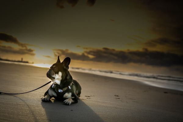 sunset at the beach ....chill