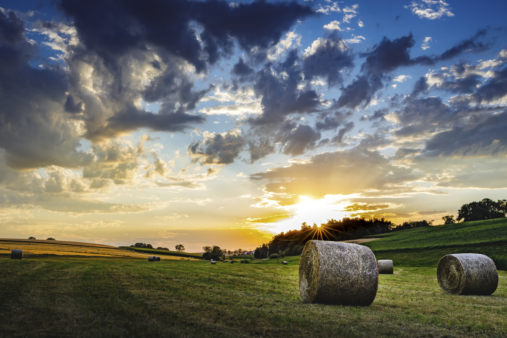 sunset at the cornfield