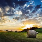 sunset at the cornfield