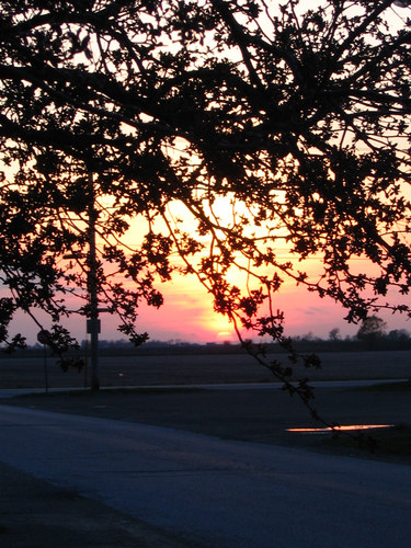 sunset at the end of the street