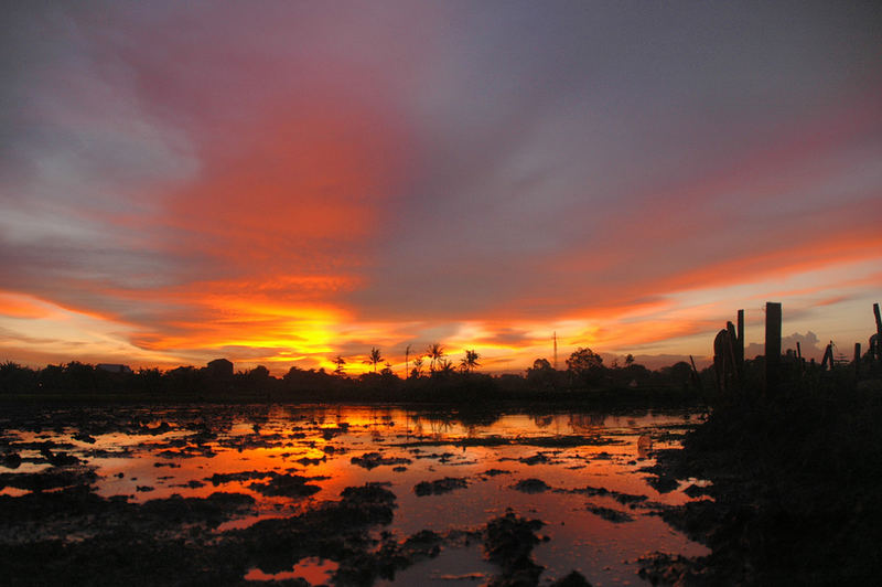 Sunset At The Farm