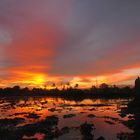 Sunset At The Farm