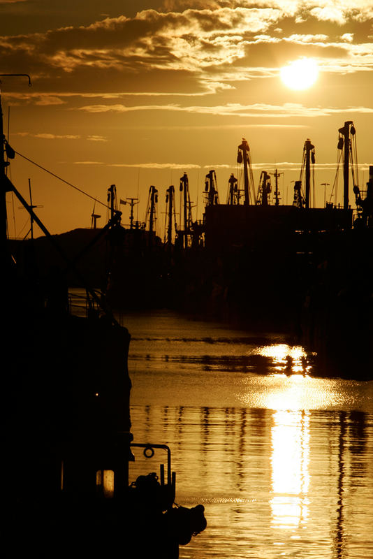 Sunset at the Harbor