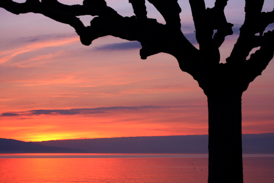 Sunset at the Lake