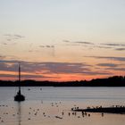 Sunset at the Lake "Müritz" on the 25/07/2019 - image 1