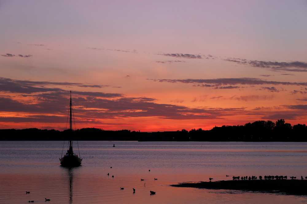 Sunset at the Lake "Müritz" on the 25/07/2019 - image 6
