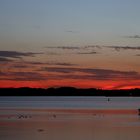 Sunset at the Lake "Müritz" on the 25/07/2019 - image 8
