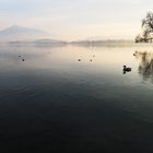 sunset at the lake zug