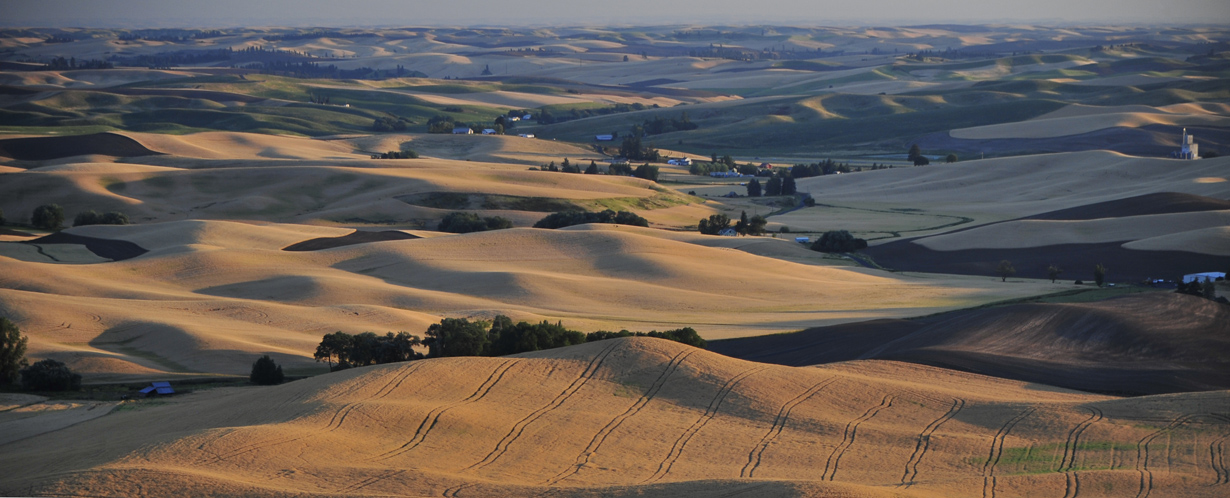 Sunset at the Palouse