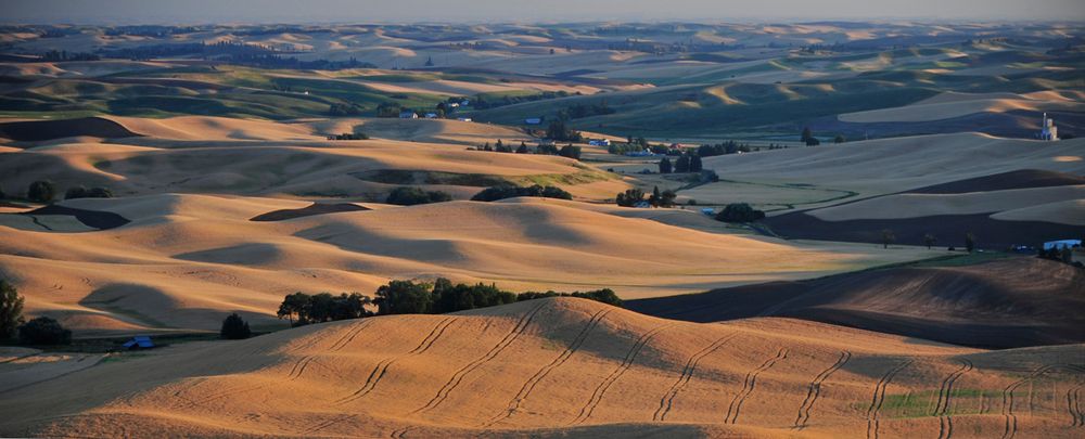 Sunset at the Palouse