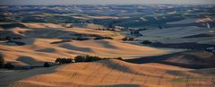 Sunset at the Palouse