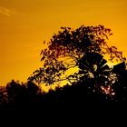 Sunset at the Windmill