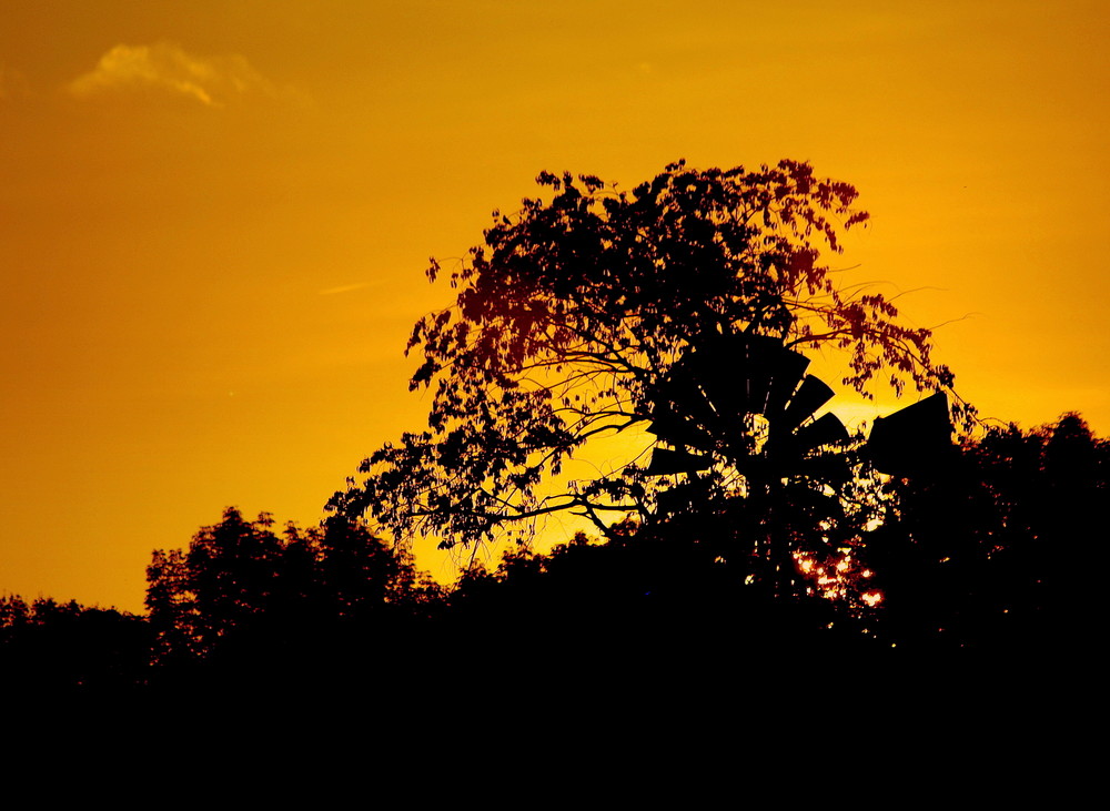 Sunset at the Windmill