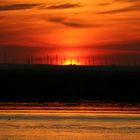 Sunset at the Windy Cove, Sacramento Delta, California.