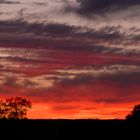 Sunset at Uluru