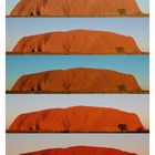 Sunset at Uluru in 5 Steps