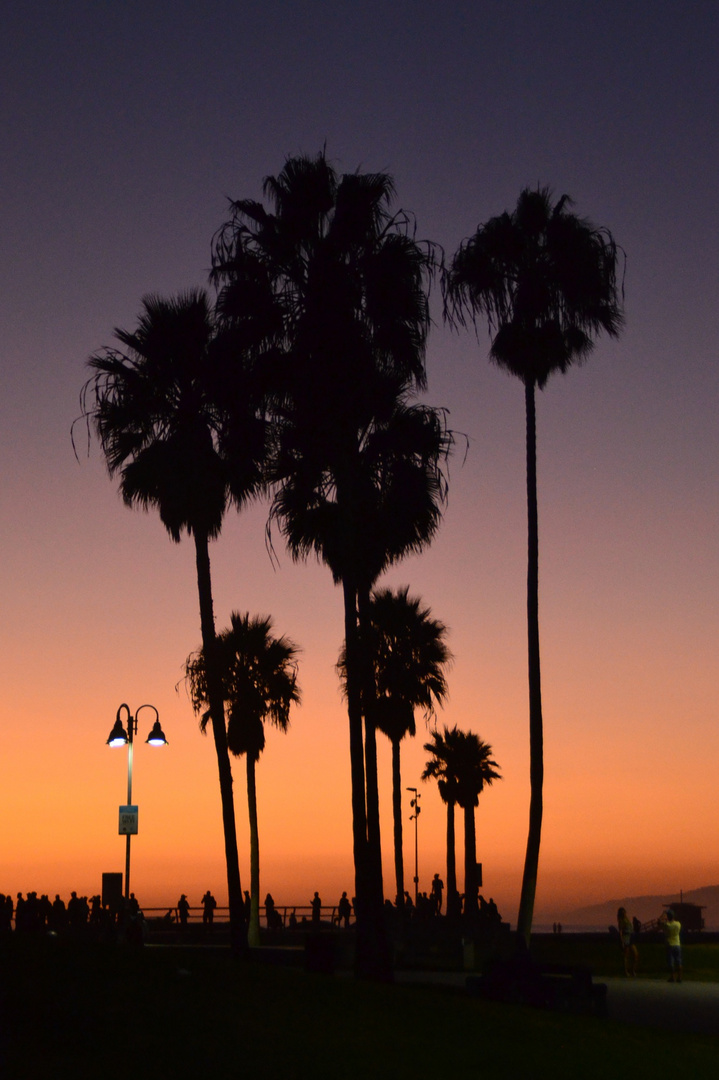 Sunset at Venice Beach