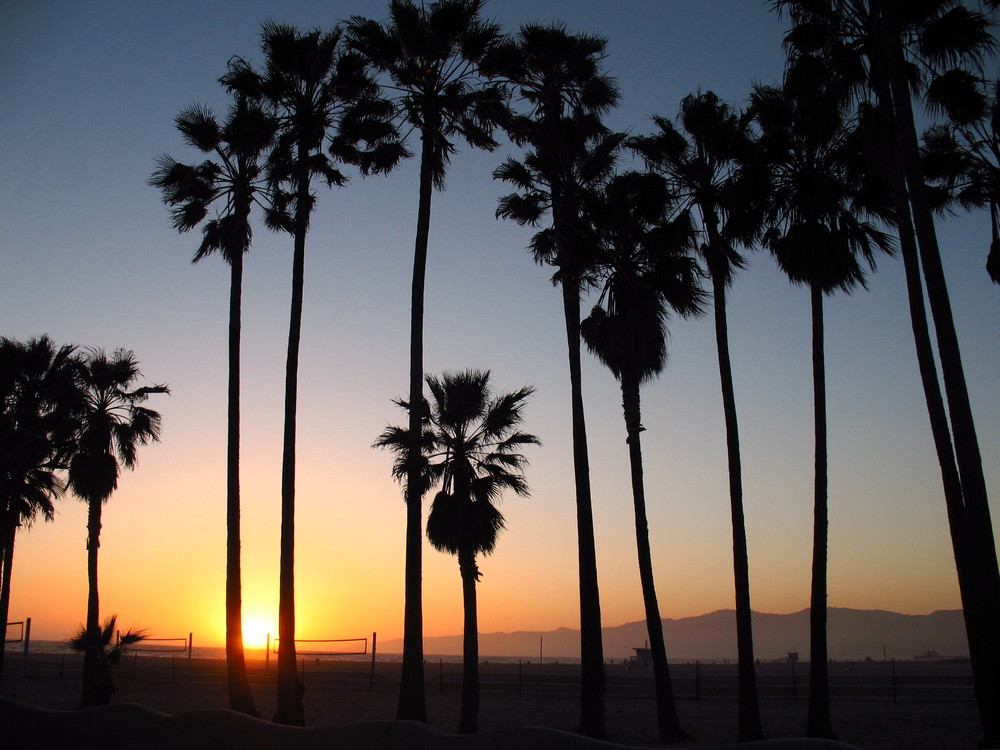 sunset at venice beach