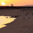 Sunset at Vilamoura