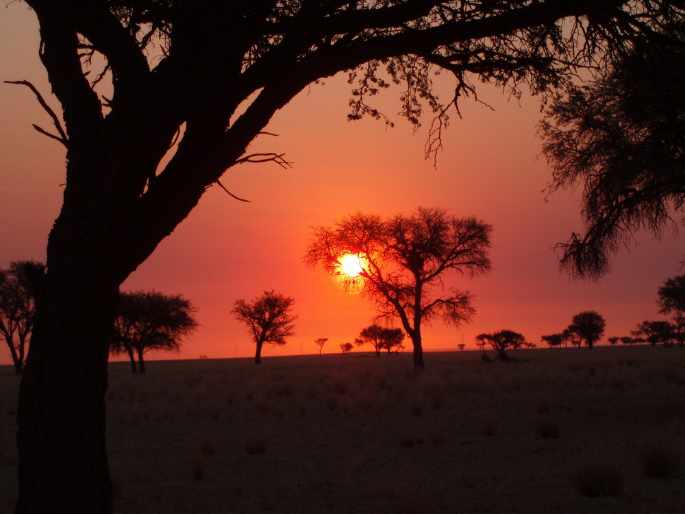 Sunset at wild camping