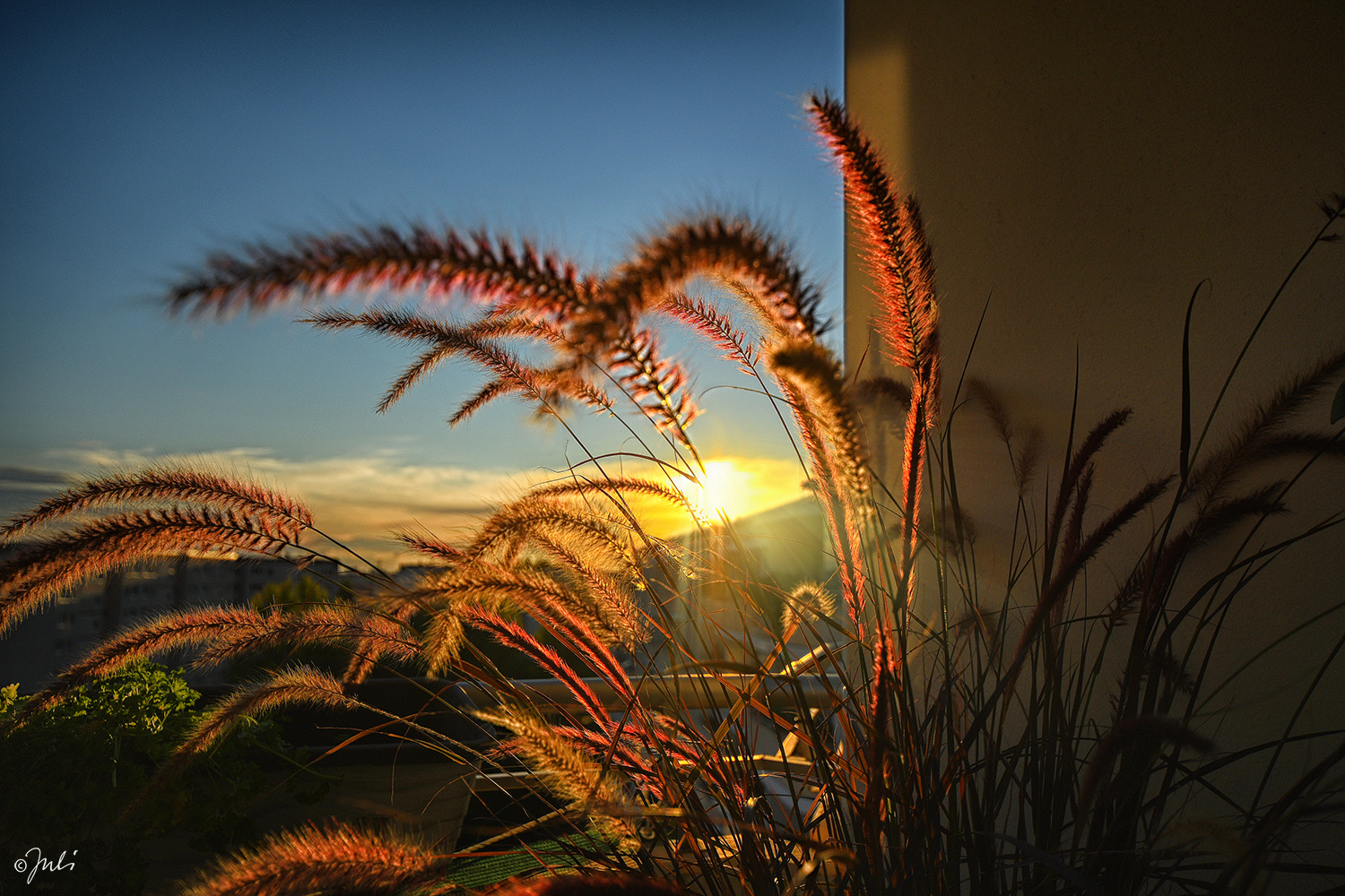 Sunset auf Balkonien